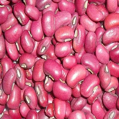 high quality red cowpea cow pea beans China lower price