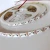 High quality smd5050 UV color 395nm-405nm led strip light 60led/m 14.4w dc12v 24v 5v UV light led strip