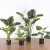 Highly simulation faux decor tree ornamental artificial monstera plant for indoor use