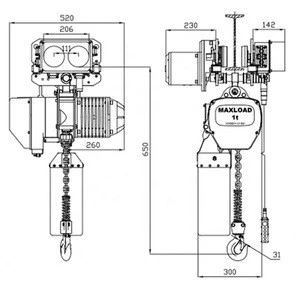 Hoisting Machine 1000 kg Electric Chain Hoist