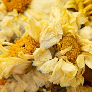 Honey Blooming Chrysanthemum Flower Tea