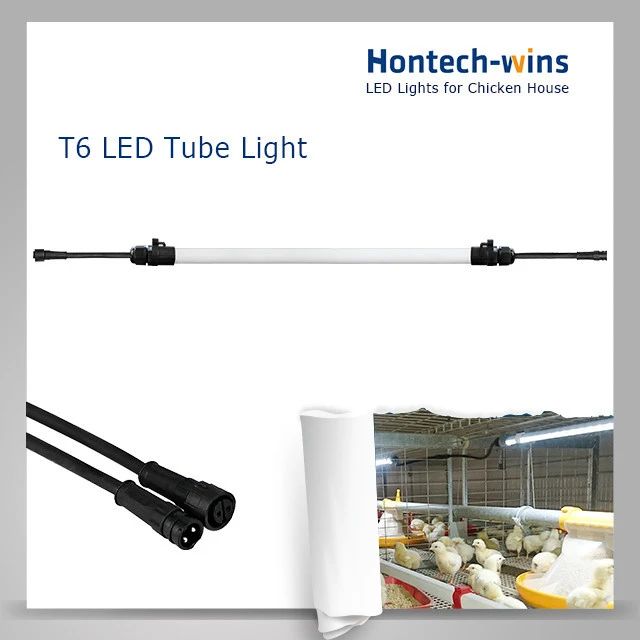 HONTECH Chicken house farm equipment poultry LED lighting T6 tubes for sale &amp; cage