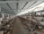 Import Hot sale commercial quail cage from China