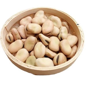 Hot sale Dry Broad Beans Fava Beans Horse Beans in bulk