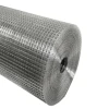 Hot Sale Electro Galvanized Welded Wire Mesh 1/2 inch square hole  for cages