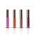 Import Hot Sale Waterproof Colorful Matte Lip gloss Lipstick Private Label from China