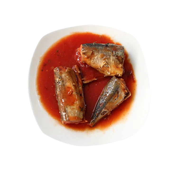 Hot-sell canned mackerel in tomato sauce