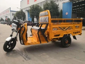 Hot selling adults low price motorized electric cargo box delivery tricycle