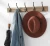 Import Hot Selling Expanding Folding Rustic Gray Wood Wall Mounted Peg Coat Hat Rack from China