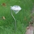 Import Hot selling new shape diamond Solar light powered LED Garden Lights for yard from China