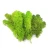 Import Indoor New Design Reindeer-moss Stabilized Preserved Moss Panel Home Decor from China