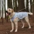 Import Juice Pet Big Dogs Cooling Vest Jacket Coat Ice Shreds Sunscreen Insulated Pet Cooling Clothes Suitable For Summer from China