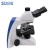 Import Laboratory Compound Trinocular Biological Microscope Manufacturers from China