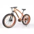 Import LANDAO Wholesale bicycle safety high quality popular tyre sales,Production of various electric bicycles and bicycles and parts from China