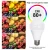 Import Led Light energy saving bulb Wholesale Home Lighting Is Durable And Energy Efficientled Lamp 2500 lumen led bulb 20w b22 from Pakistan