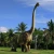 Import lifelike simulation dinosaur show of animatronic allosaurus from China