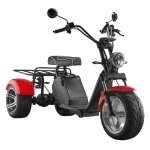 Lq31 High Quality EU Warehouse 1000W Citycoco 3 Wheels Electric Scooter Trike