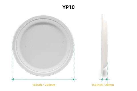 Buy Luzhoupack 100% Compostable Biodegradable Disposable Bamboo Food ...
