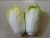 Import Man-made vegetable,artificial cyan celery cabbage from China