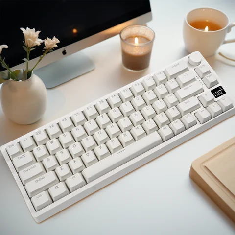MATHEW TECH MK67 Pro Mini Mechanical Keyboard RGB  Hot Swappable with Display Keyboards 65 Percent Mechanical Gaming Keyboard