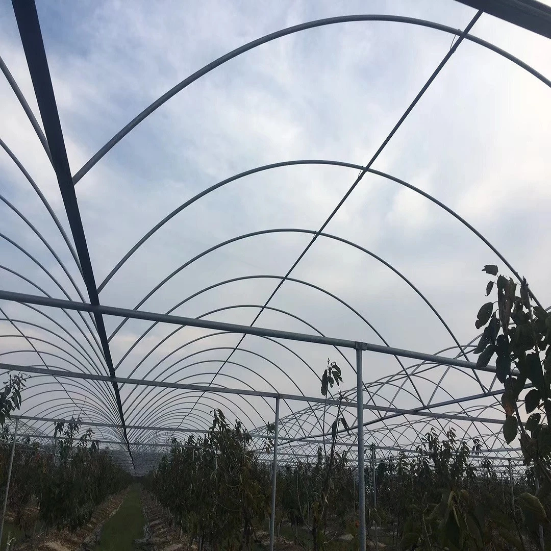 Medical planting agricultural greenhouse with blackout curtain