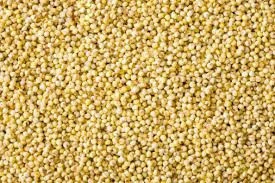Millet For Sell
