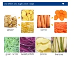 Multi Functional Fruit Food Vegetable Chopper Slicer Shredder Potato Ginger banana Slicing Shredding Cutter Cutting Machine