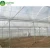 Import Multi Span plastic film plastic cover design greenhouse Agricultural Production from China