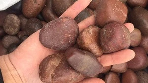Natural landscaping pebble stone