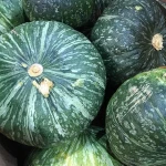 Natural Wholesale Pumpkin/Fresh Pumpkin