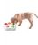 Import New Pet product 360 degree rotatable cat toy bowl Pet dog IQ training plastic food bowl from China