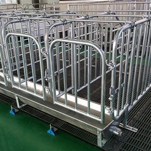 New Recumbent Automatic-Welding Various Standard Size Tube Gestation Crates For Pig Farm Equipment