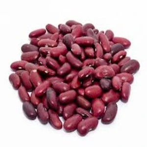 Top Quality Kidney Beans, White, Red, Black  at Best Price