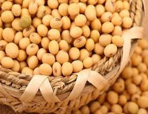 NON GMO DRIED CHEAP SOYBEANS FOR SALE AFFORDABLE PRICE
