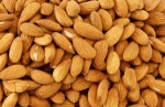 Non pareil almond