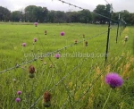 Normal Twist  Single strand  Galvanized Iron Barbed Wire