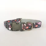 nylon coated polyester digital printing fabric dog collar adjustable dog neck collar with breakaway buckle
