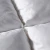 Import Oasis Best Price High Quality 10% Goose Down Duvet Quilt from China