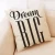 Import OEM Wholesale Decorative Printed Pillow Case from China