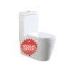 One Piece Toilet with S-trap 250mm in special offer