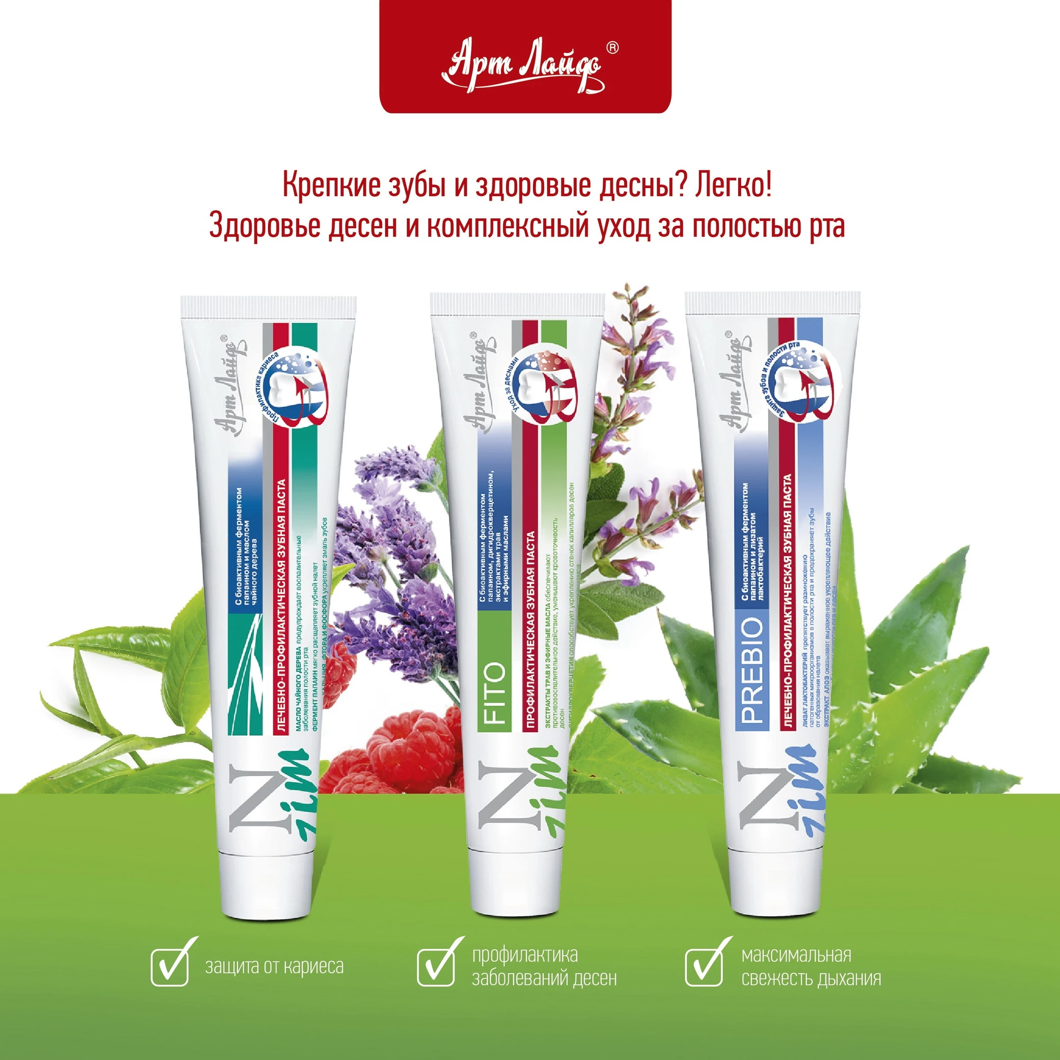 Oral hygiene teeth cleaning prevent caries prevent periodontal disease strengthen tooth enamel  toothpaste 75 ml