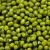 Import Organi Green Mung Beans from USA