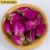 Import Organic Rose Herbal Tea Dried Rose Tea of Rose Buds Natural Rose Bud from China