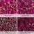 Import Organic Rose Herbal Tea Dried Rose Tea of Rose Buds Natural Rose Bud from China