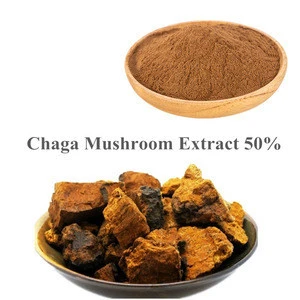 Organic Siberian Polysaccharides Chaga Mushroom Extract 50%-20%/Chaga Mushroom Extract Powder
