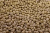 Organic soybean in bulk