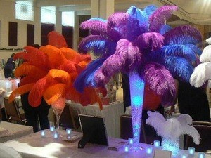 ostrich feather for weddings events