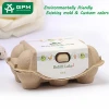 Paper packaging 6 chicken eggs carton tray with lid