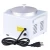 Import Paraffin Wax Warmer Electric Wax Heater Pot from China