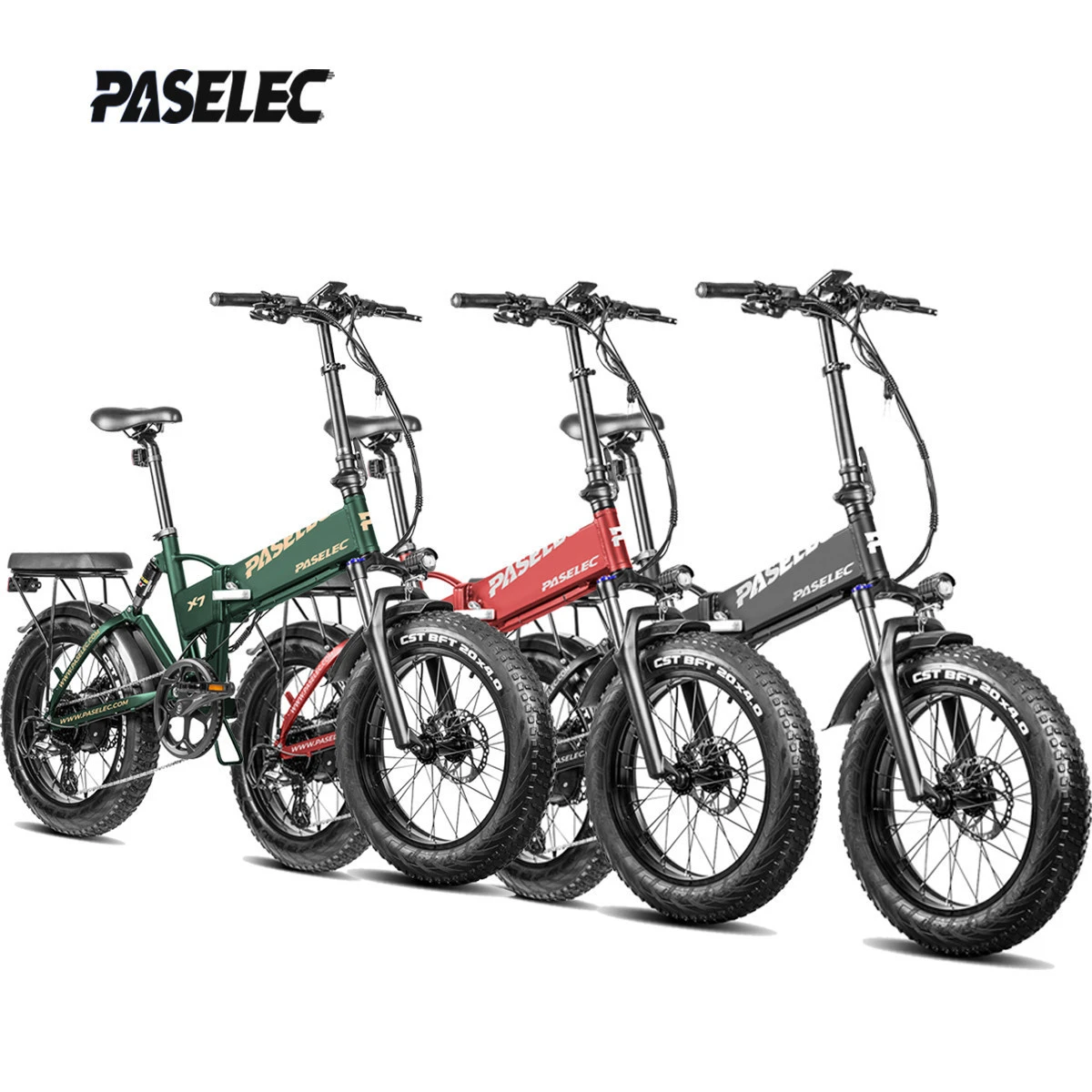 PASELEC Mountain fat ebike Powerful electric Bicycles with CE electric bike 750w/500w